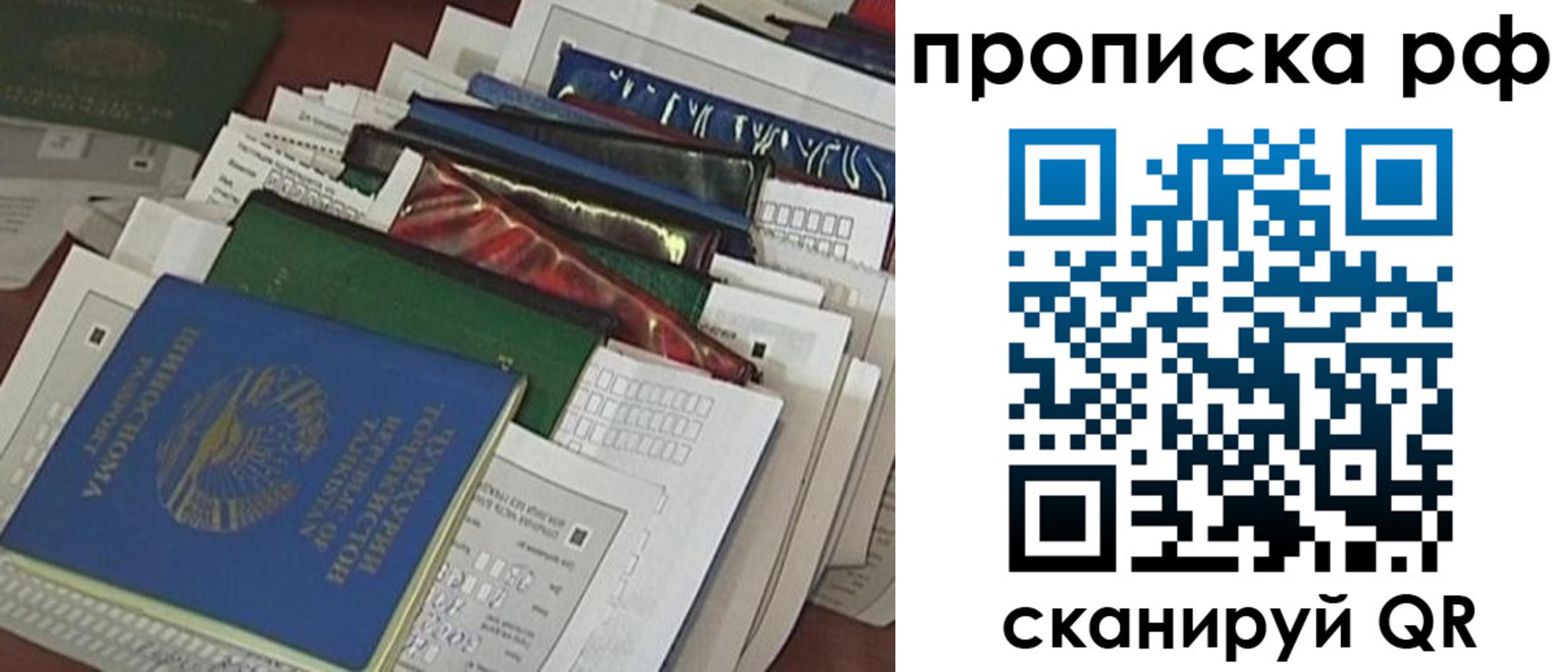 прописка в Вязьме